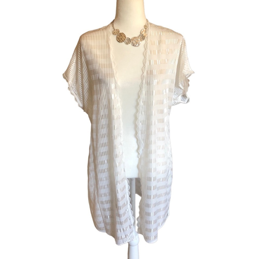 Vintage Lace & Mesh Robe - Picture 2 of 5